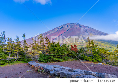 [Yamanashi Prefecture] Mt. Fuji Subaru Line Okuniwa - Autumn leaves starting to fall in the Okuniwa evening view 132339356