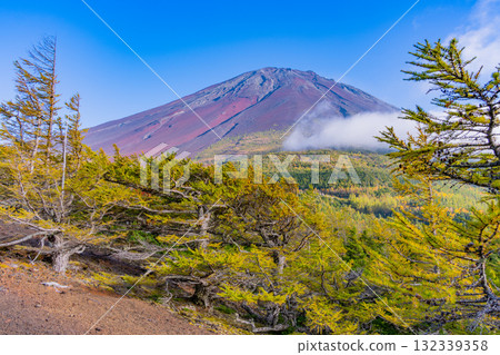 [山梨縣] 富士山斯巴魯線 奧庭～奧庭晚霞紅葉開始飄落 132339358