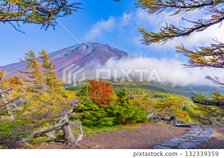 [Yamanashi Prefecture] Mt. Fuji Subaru Line Okuniwa - Autumn leaves starting to fall in the Okuniwa evening view 132339359