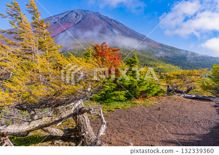[山梨縣] 富士山斯巴魯線 奧庭～奧庭晚霞紅葉開始飄落 132339360