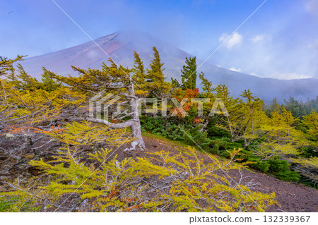 [Yamanashi Prefecture] Mt. Fuji Subaru Line Okuniwa - Autumn leaves starting to fall in the Okuniwa evening view 132339367
