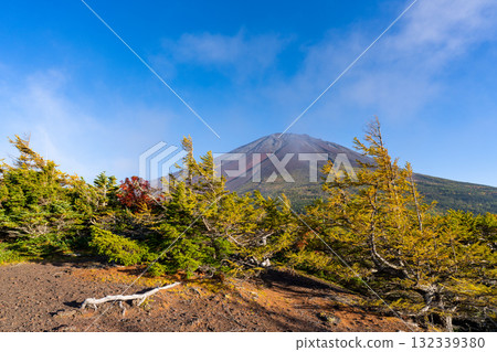 [山梨縣] 富士山斯巴魯線 奧庭～奧庭晚霞紅葉開始飄落 132339380