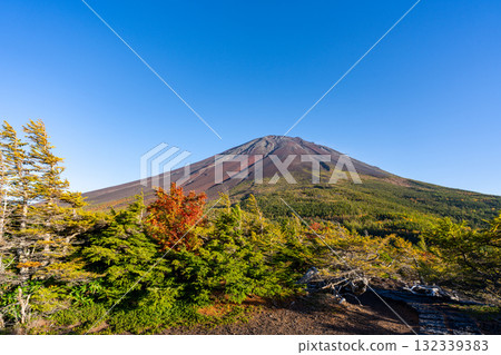 [山梨縣] 富士山斯巴魯線 奧庭～奧庭晚霞紅葉開始飄落 132339383