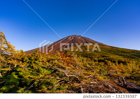 [山梨縣] 富士山斯巴魯線 奧庭～奧庭晚霞紅葉開始飄落 132339387