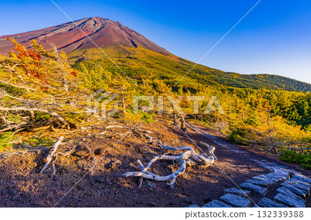 [山梨縣] 富士山斯巴魯線 奧庭～奧庭晚霞紅葉開始飄落 132339388