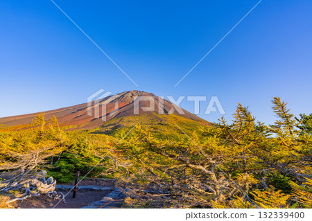 [Yamanashi Prefecture] Mt. Fuji Subaru Line Okuniwa - Autumn leaves starting to fall in the Okuniwa evening view 132339400