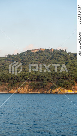 Beautiful coastal view of Prince Islands with lush greenery and historic architecture under clear sky during sunset 132339434