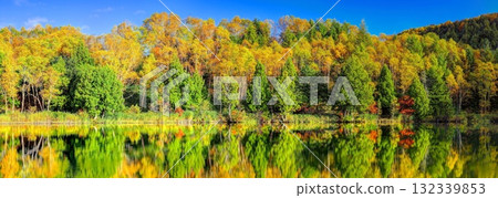 Shining Kido Pond in autumn (panorama) 132339853