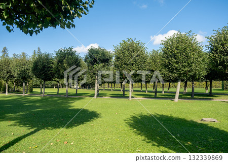 Exploring the manicured gardens of Catherine Palace in Tsarskoye Selo, showcasing neatly trimmed trees under a clear blue sky Exploring the manicured gardens of Catherine Palace in Tsarskoye Selo, showcasing neatly trimmed trees under a clear blue sky 132339869