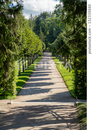 Strolling along the tree-lined path at Catherine Palace in Tsarskoye Selo, Russia during the afternoon sunlight Strolling along the tree-lined path at Catherine Palace in Tsarskoye Selo, Russia during the afternoon sunlight 132339880