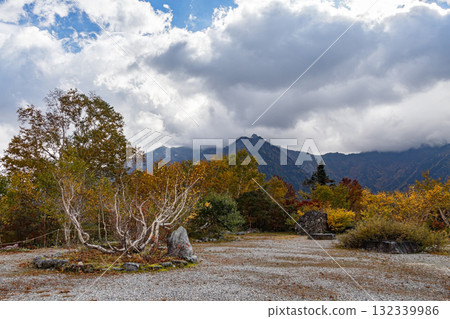 Kurobedaira Garden in autumn 132339986