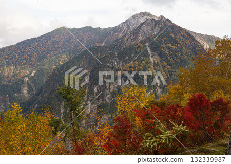 Autumn leaves at Kurobedaira 132339987