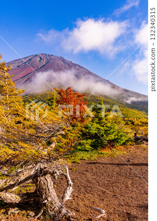 【山梨縣】富士山斯巴魯線:晴空下的內庭紅葉 【山梨縣】富士山斯巴魯線:晴空下的內庭紅葉 132340315