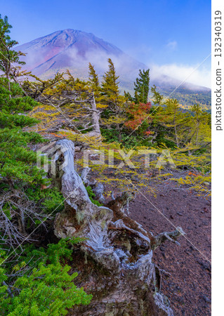 【山梨縣】富士山斯巴魯線:晴空下的內庭紅葉 【山梨縣】富士山斯巴魯線:晴空下的內庭紅葉 132340319