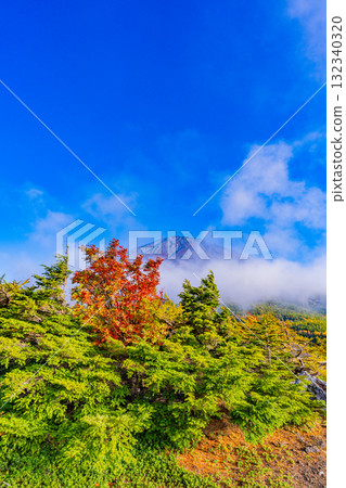 【山梨縣】富士山斯巴魯線：晴空下的內庭紅葉 132340320