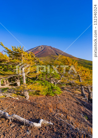 【山梨縣】富士山斯巴魯線：晴空下的內庭紅葉 132340324
