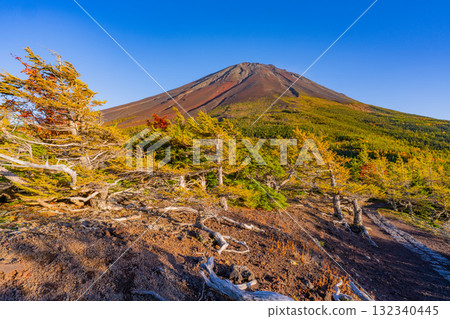 [Yamanashi Prefecture] Mt. Fuji Subaru Line - Autumn leaves in the inner garden 132340445