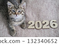 Small tabby kitten lays next to the numbers "2026" and looks at the camera 132340652