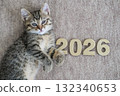 Small tabby kitten is playfully lying next to the numbers "2026". Suitable for concepts of the New Year, calendar, pets and happy moments 132340653