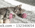 Charming fluffy tabby kitten with large curious eyes lies on knitted blanket next to ball of pink yarn, evoking playfulness and coziness 132340654