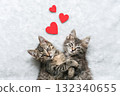 Two cute tabby kittens cuddle together on soft white blanket with three red hearts above them, symbolizing love and affection 132340655