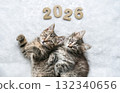 Two cute tabby kittens lying on white blanket with golden numbers "2026" above them. Perfect for New Year's greeting card, calendar cover or cozy animal-themed holiday message 132340656