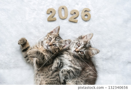 Two cute tabby kittens lying on white blanket with golden numbers "2026" above them. Perfect for New Year's greeting card, calendar cover or cozy animal-themed holiday message Two cute tabby kittens lying on white blanket with golden numbers "2026" above them. Perfect for New Year's greeting card, calendar cover or cozy animal-themed holiday message 132340656