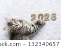 Cute tabby kitten is playfully lying next to the numbers "2026" on white blanket. Suitable for concepts of the New Year, calendar, happy pet moments 132340657