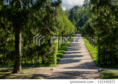 Exploring the serene pathways of Catherine Palaces gardens surrounded by lush greenery Exploring the serene pathways of Catherine Palaces gardens surrounded by lush greenery 132340872