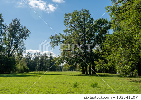 Exploring the expansive gardens surrounding Catherine Palace under a clear blue sky 132341107