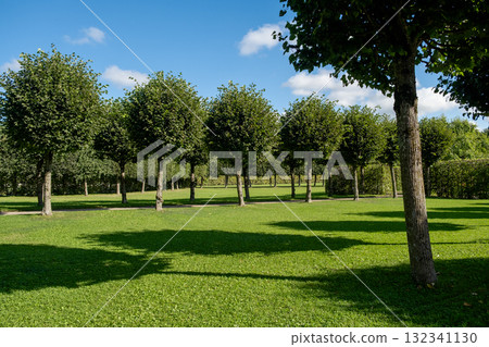 Lush greenery and shadowed pathways in the gardens of Catherine Palace during a sunny day 132341130
