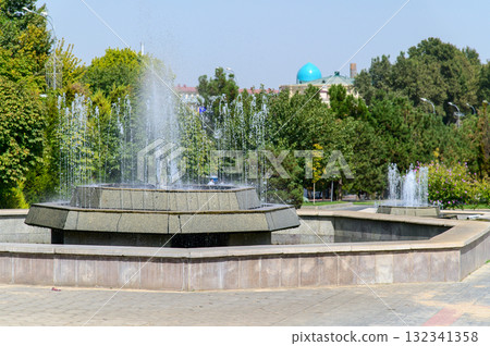 風景優美的安靜公園,有噴泉 風景優美的安靜公園,有噴泉 132341358