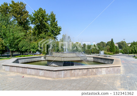 風景優美的安靜公園，有噴泉 132341362