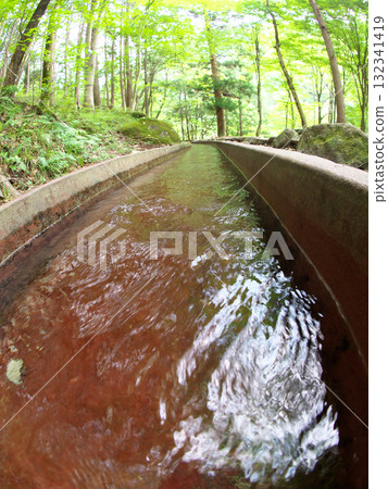 Clear water flows through a waterway surrounded by fresh greenery 132341419