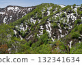 當白雪皚皚的山峰上開始長出新綠 132341634