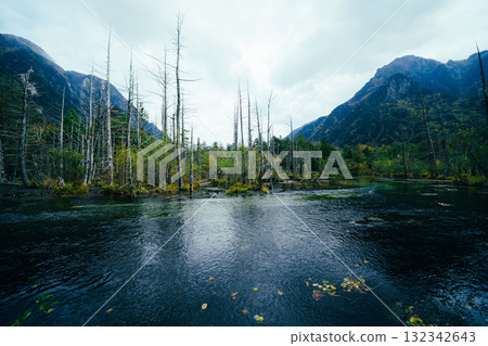 Beautiful scenery of Kamikochi Beautiful scenery of Kamikochi 132342643