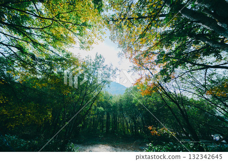 Beautiful scenery of Kamikochi Beautiful scenery of Kamikochi 132342645