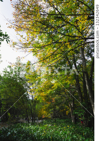 Beautiful scenery of Kamikochi Beautiful scenery of Kamikochi 132342649
