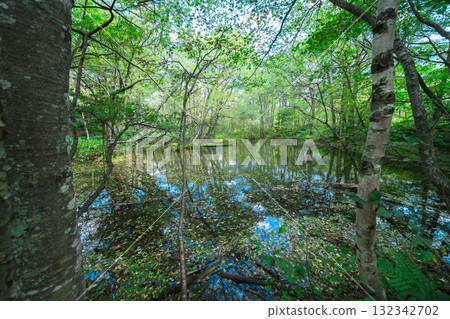上高地美麗的風景 132342702