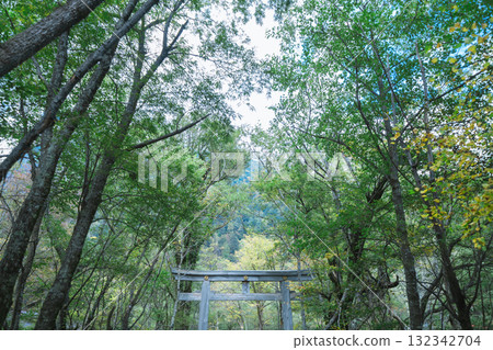 上高地美麗的風景 132342704