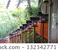 一排朱紅色的燈籠和紙燈籠（被綠色環繞的神社走廊） 132342771