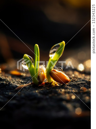 Green sprouts emerging from soil, symbolizing resilience amidst isolation and exclusion Green sprouts emerging from soil, symbolizing resilience amidst isolation and exclusion 132343225