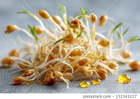 Group of sprouting wheat grains with visible roots symbolizing themes of ostracism and isolation Group of sprouting wheat grains with visible roots symbolizing themes of ostracism and isolation 132343227