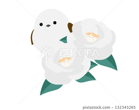 白山茶花和長尾山雀 白山茶花和長尾山雀 132343265