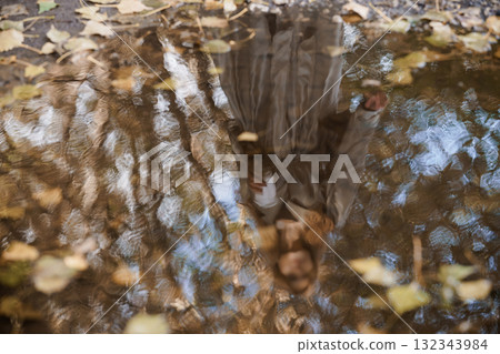 Reflective Autumn Forest Scene: Person Gazing into Water, Brown Leaves, Trees, Moody Atmospheric Landscape Photography, Natural Light, Stillness. Reflective Autumn Forest Scene: Person Gazing into Water, Brown Leaves, Trees, Moody Atmospheric Landscape Photography, Natural Light, Stillness. 132343984