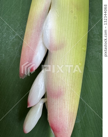 月亮桃（Getaw） 132344068