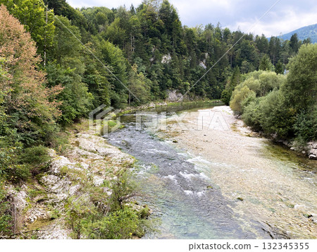Beautiful view of the turbulent river and coniferous forest 132345355