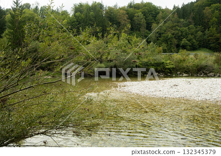 Beautiful Natural Background with Forest River in Summer 132345379