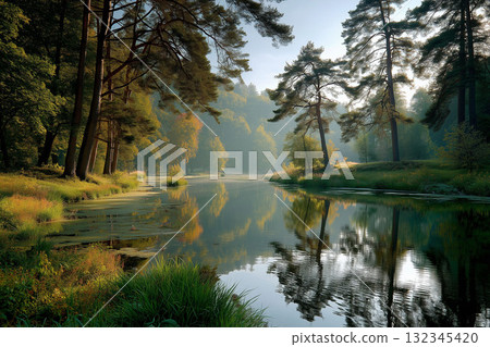 Tranquil Landscape with Pine Tree Reflections on Still Water Tranquil Landscape with Pine Tree Reflections on Still Water 132345420