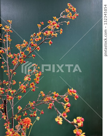 掛滿紅色秋果的樹枝 132345854